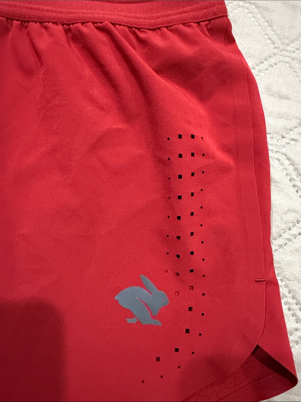 Rabbit Running Shorts - Picture 3 of 13